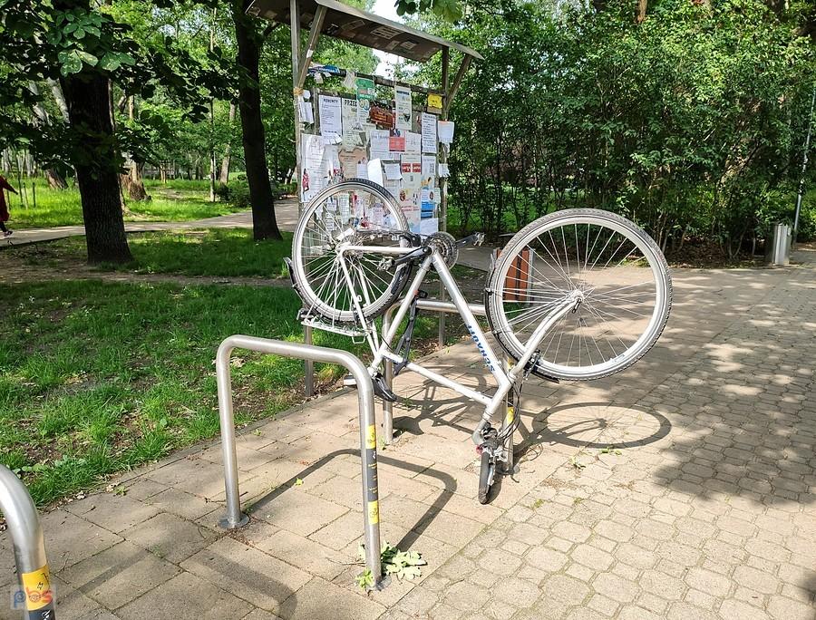 W parku tak się parkuje