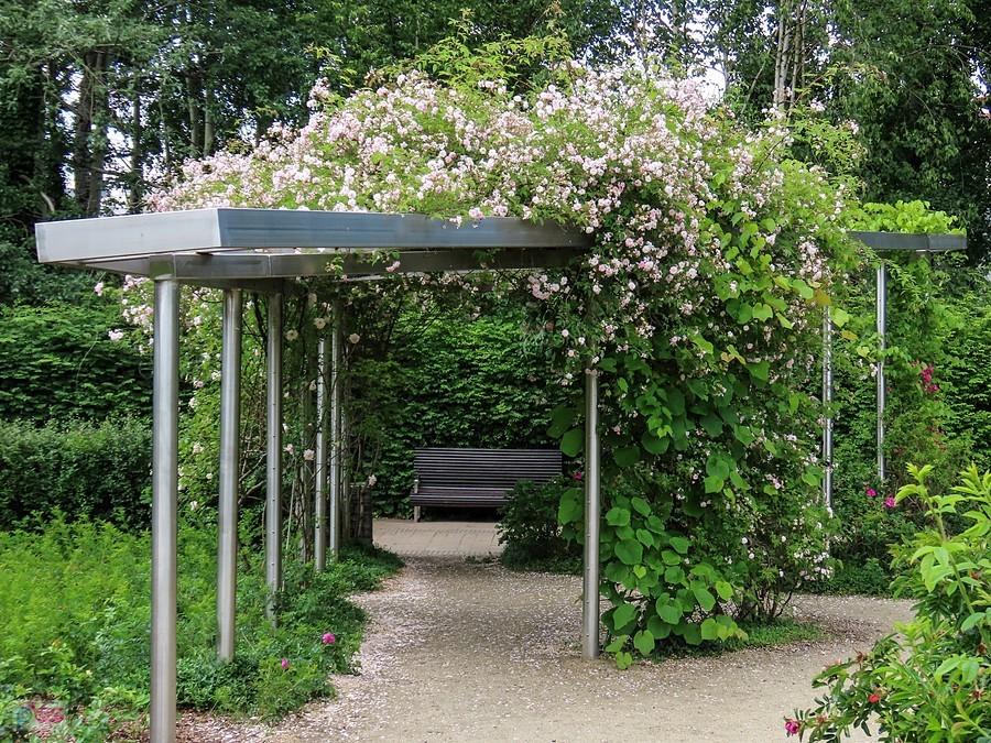 Parkowa pergola