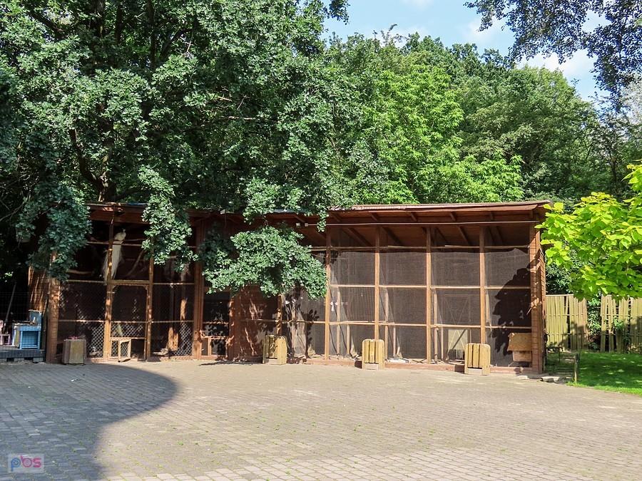 Domek dla przeróżnych ptaszysk
