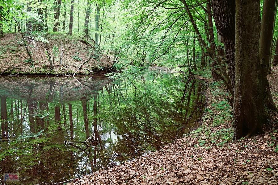 Czarny Staw
