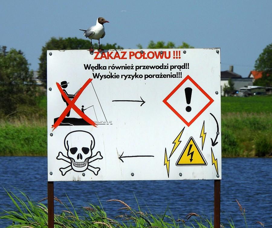 Śmieszka - strażniczka zalewu
