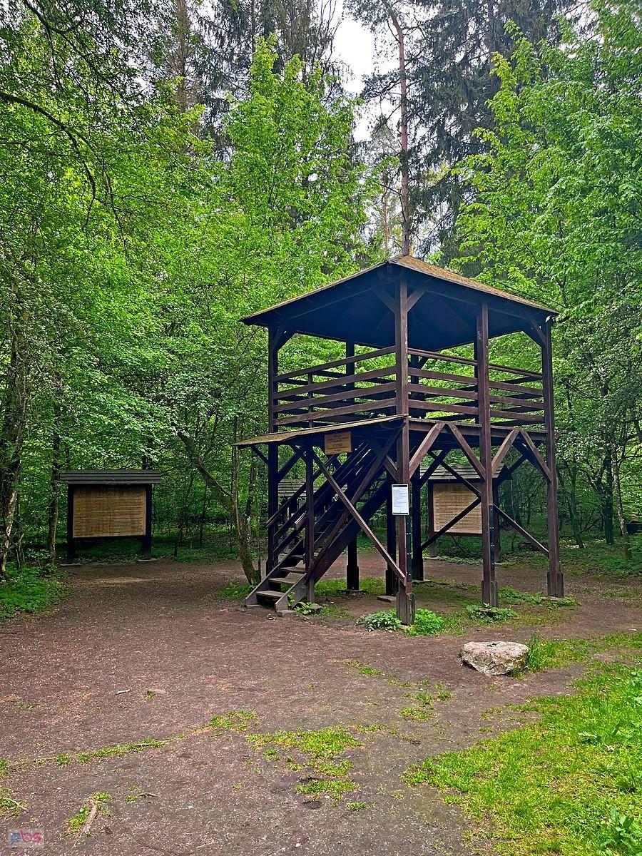 Miejsce Mocy Białowieża