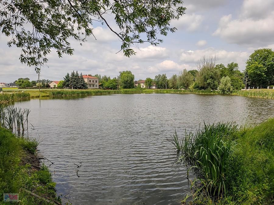 Staw Pozytywka