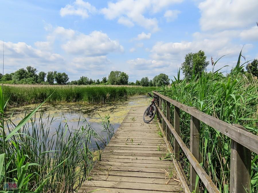 Pomost nad jeziorem Zgorzała
