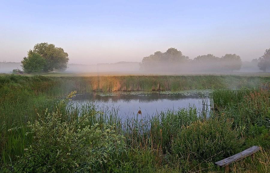 Mgła nad stawem
