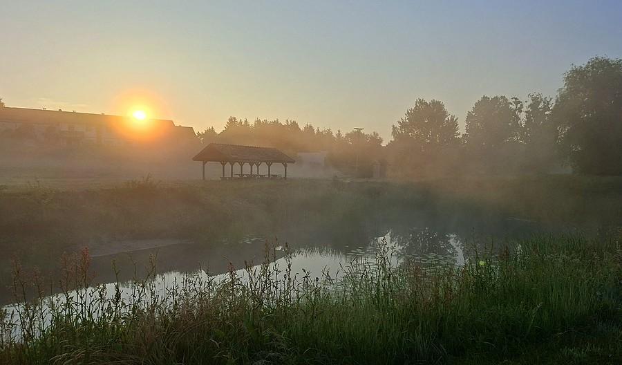 Wschodzące słońce nad stawem