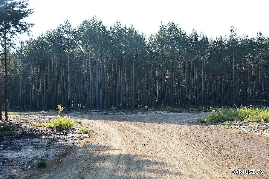 Dąbrowa Górnicza - Błędów - Velo Przemsza, czyli rowerem na Pustynię Błędowską