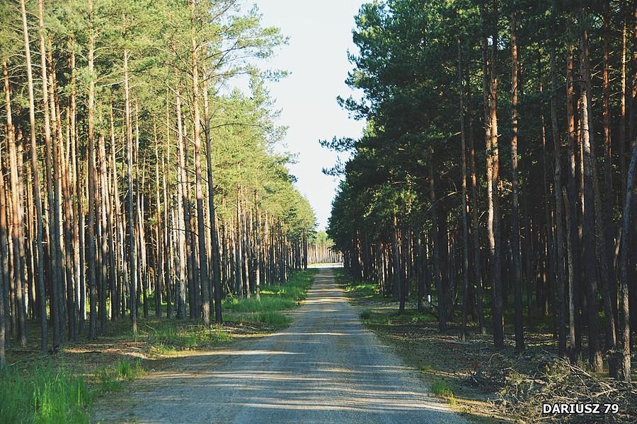Velo Przemsza, czyli rowerem na Pustynię Błędowską