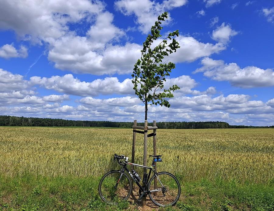 Wietrzna rowerówka