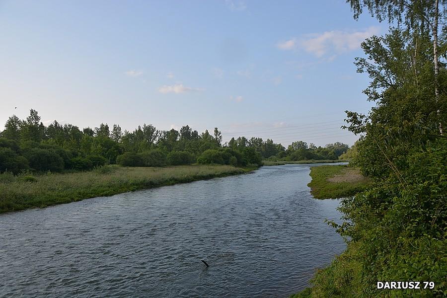 Wilczkowice - Rzeka Soła