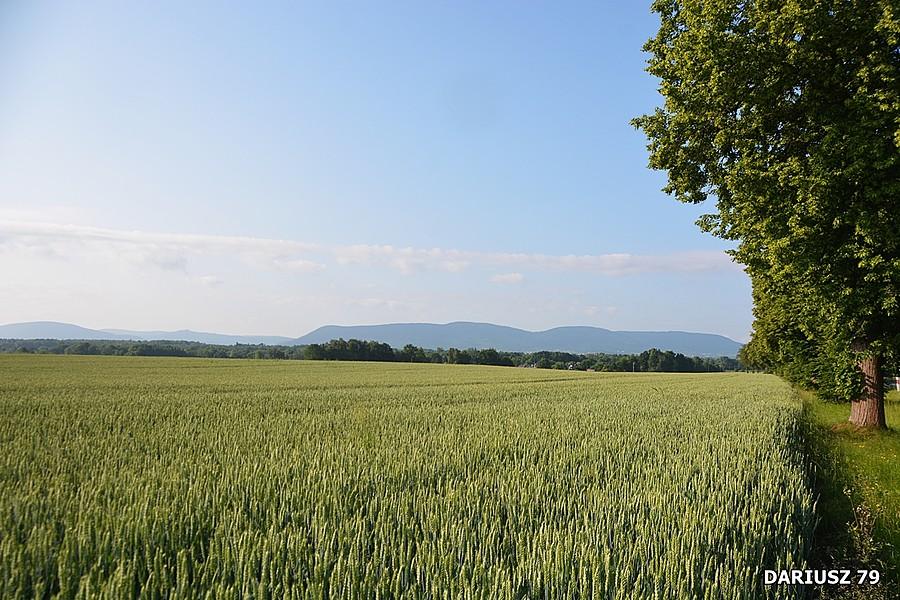 Wilamowice widok na Beskidy