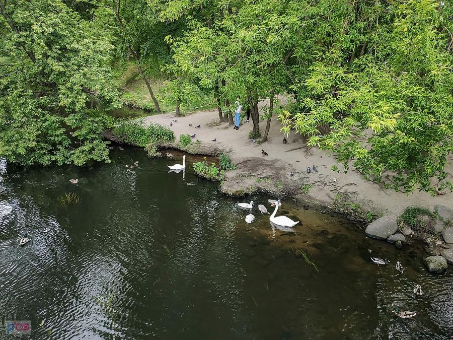 Jeziorka przy tężni