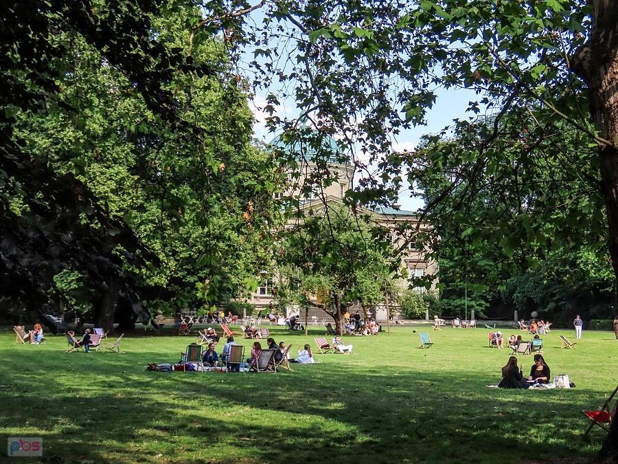 Piknikowo przed pałacem Królikarni