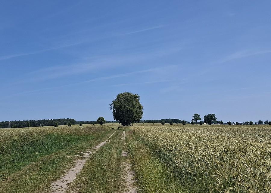 Szosą przez pola