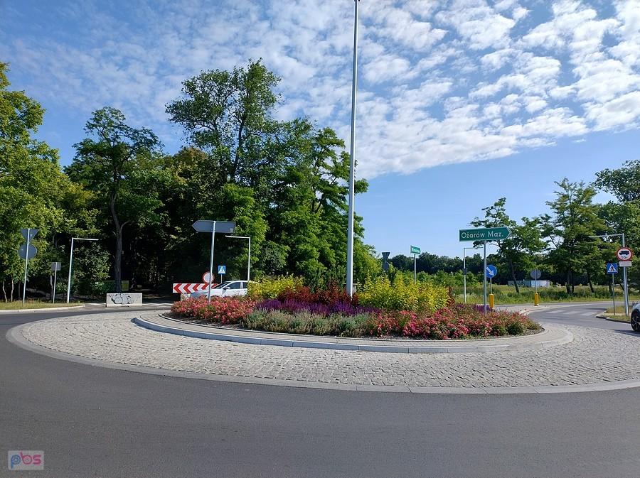 Piękne rośliny na rondzie w Strzykułach/ Kaputach