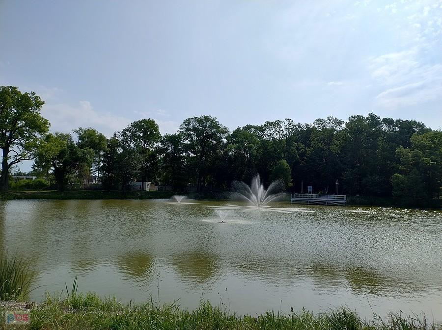 Staw w Ołtarzewie
