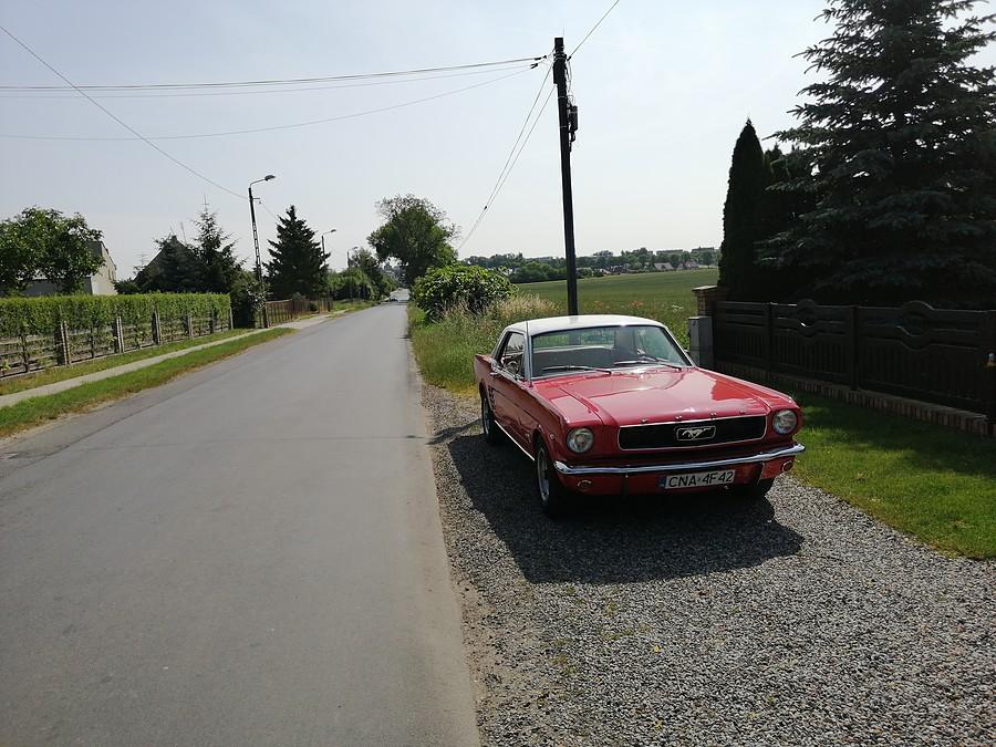 Piękny Mustang.