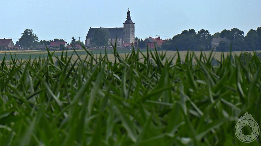 okolic Nowego Korczyna jak jakas zabiedzona Toskania