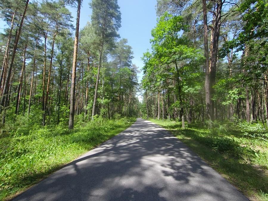 Droga Górki - Nowy Wilków w Kampinosie