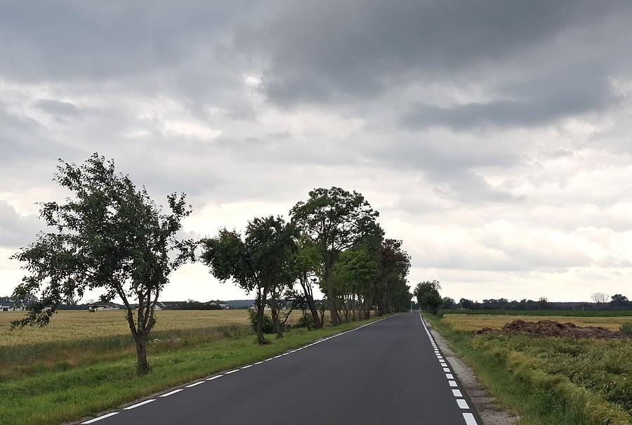 Już wiedziałem, że suchy nie wrócę