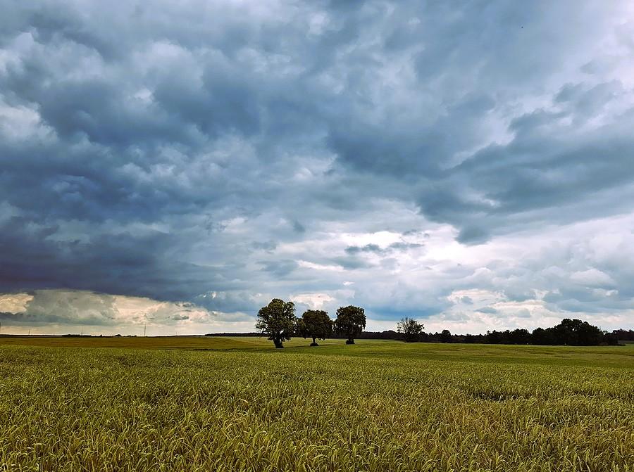 Piękne chmury nad Lisówkami