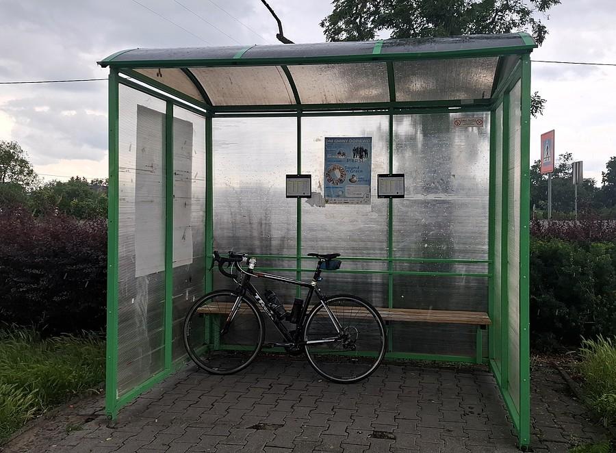 Oczekiwanie pod znajomą wiatą