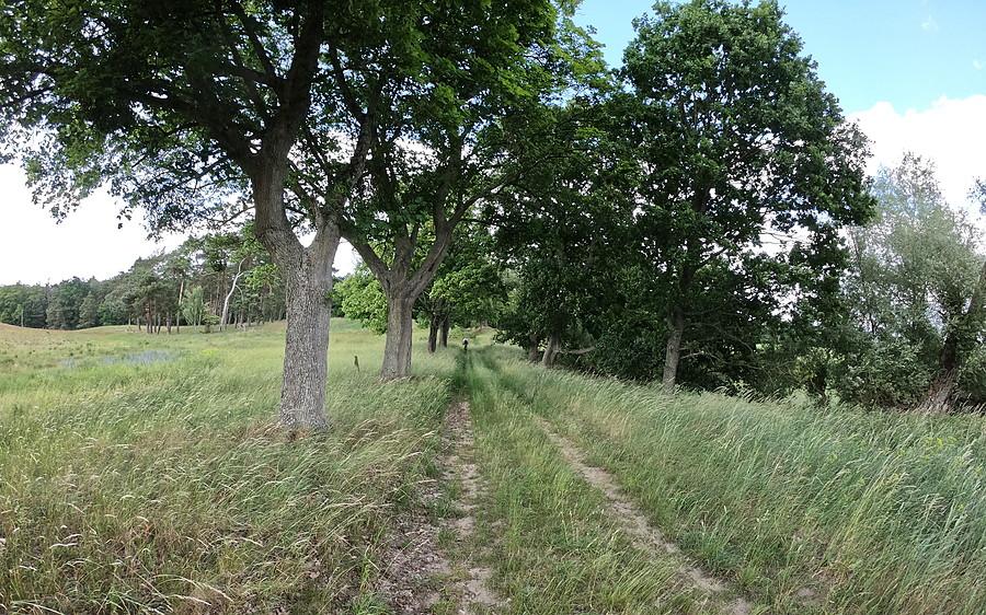 Czasem taki terenowy odcinek się trafił