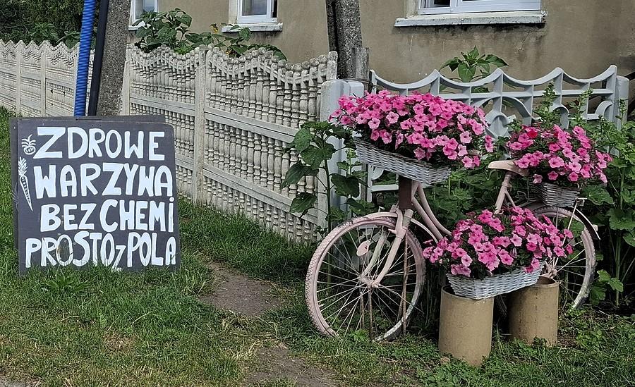 Bez chemii i bez "i" :)