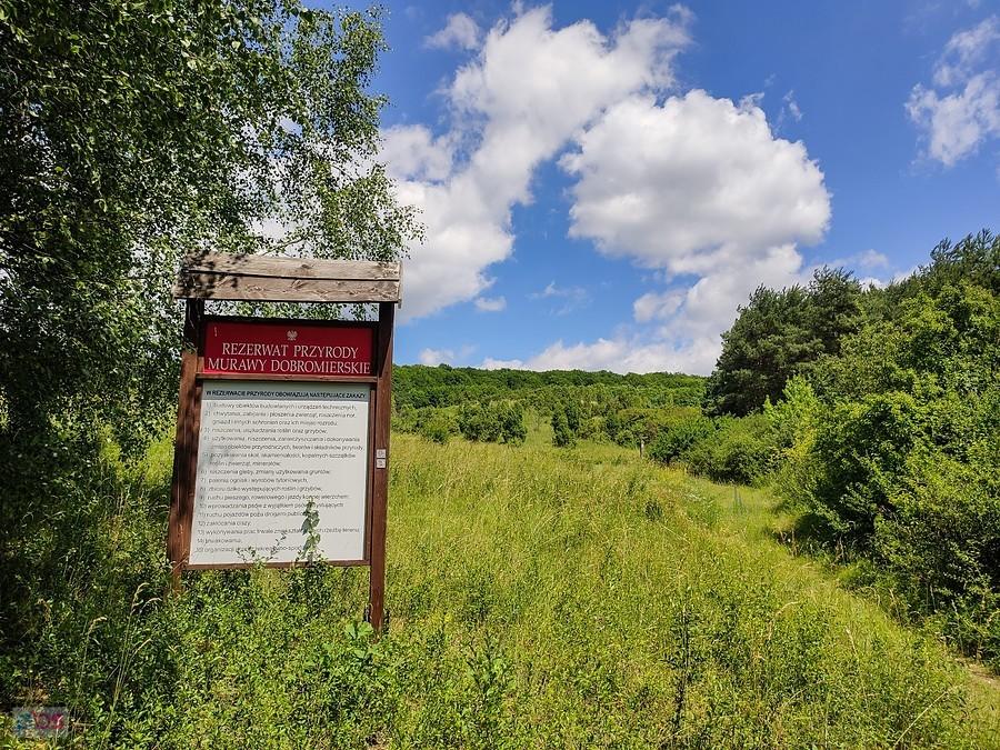 Przede mną rezerwat Murawy Dobromierskie