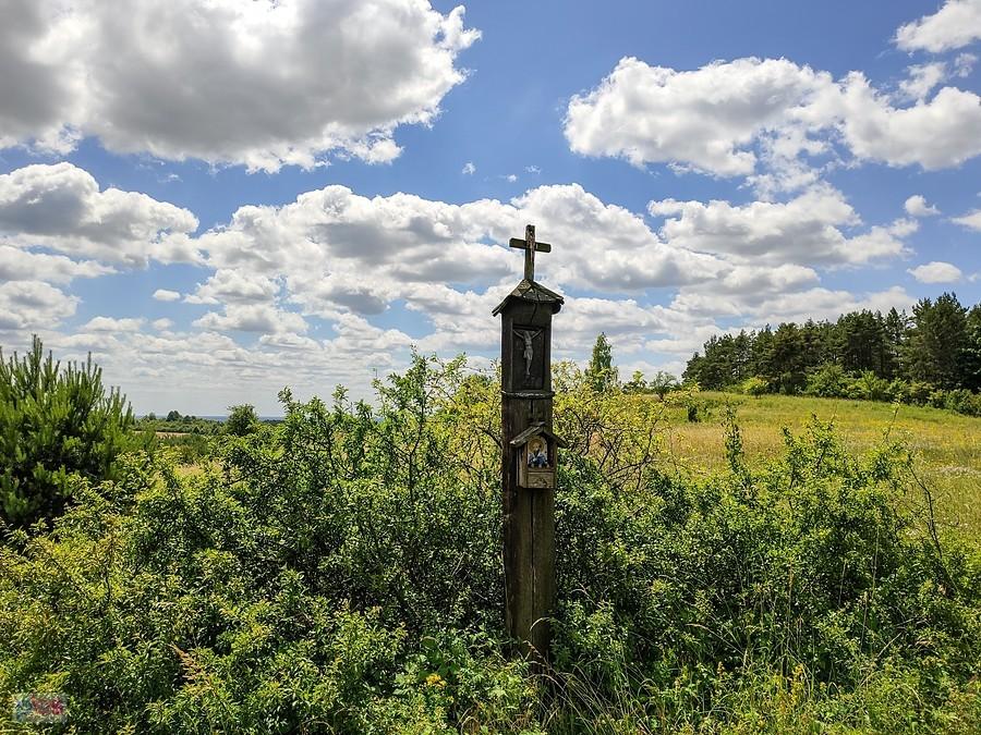 Wzdłuż rezerwatu Murawy Dobromierskie prowadzi szlak św. Jakuba