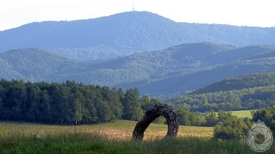 kawał konaru i Stebnicka Magura