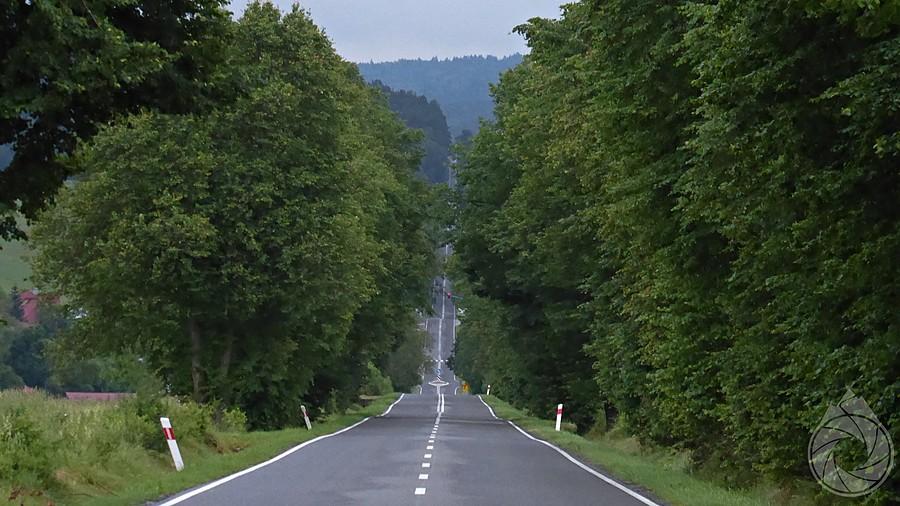 prooooosta z Magury w stronę hranicy