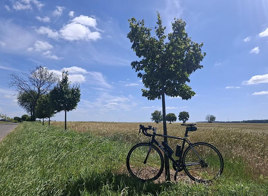 Rowerówka z Lisówek
