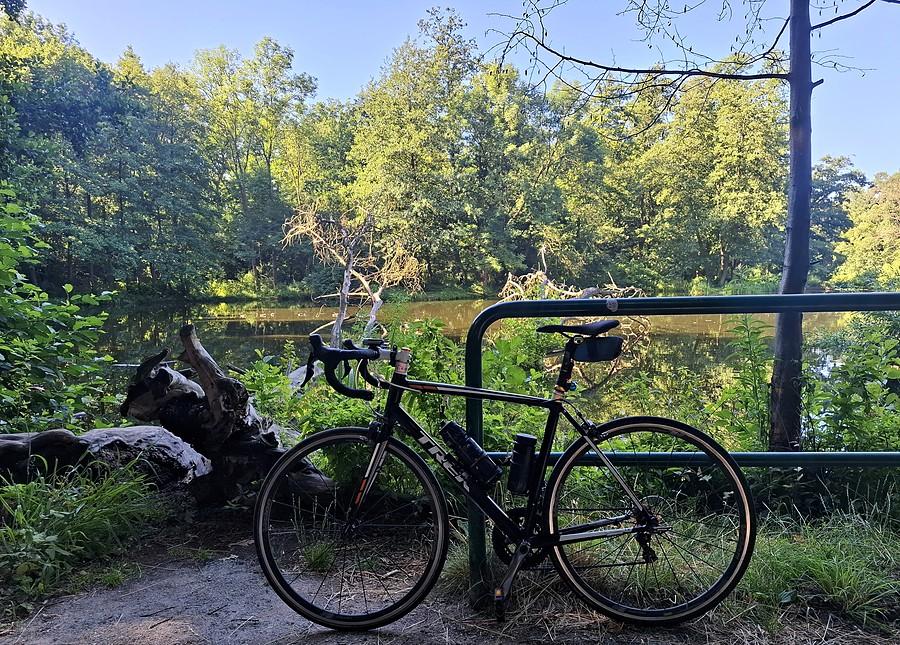 Rowerówka w cieniu Dębiny