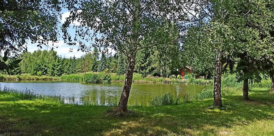 Staw w Moskorzynie