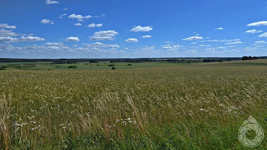 rozległość Warmii