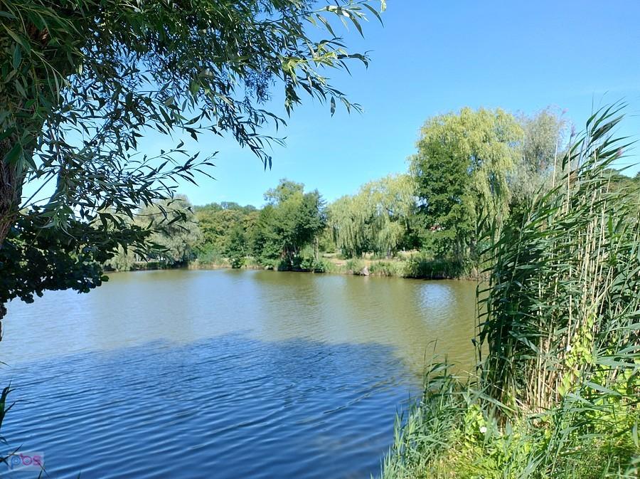 Staw w Zielonkach