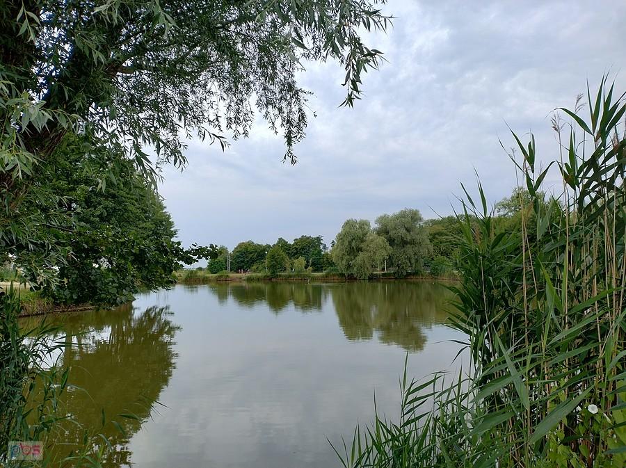 Staw w Zielonkach