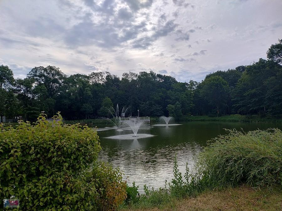 Staw w Ołtarzewie