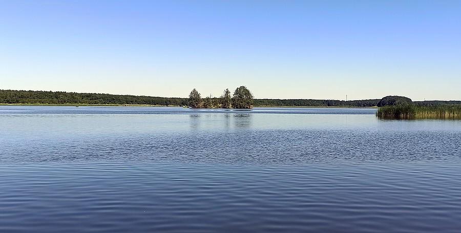 Wyspa Kormoranów na Jeziorze Sławskim