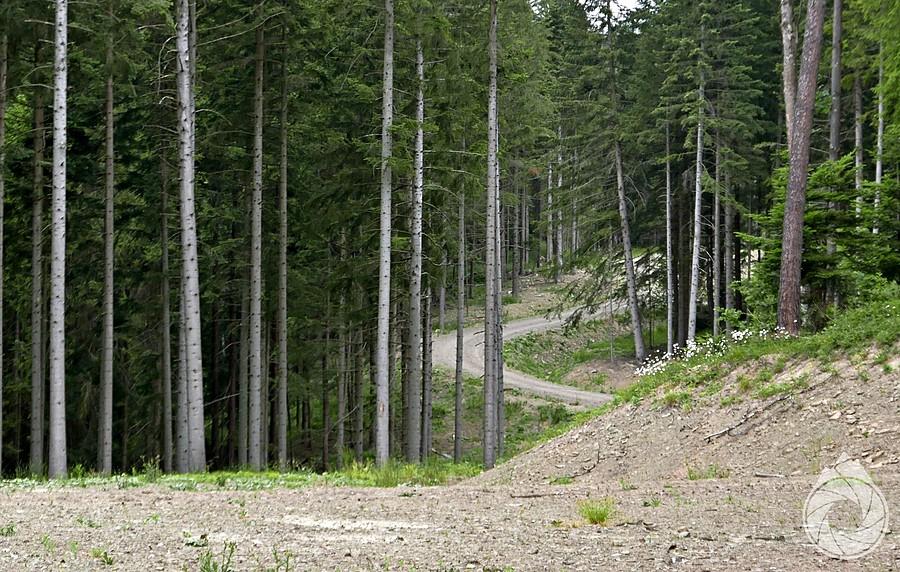 kawałek szutrówki z trasy Gravela Beskidzkiego