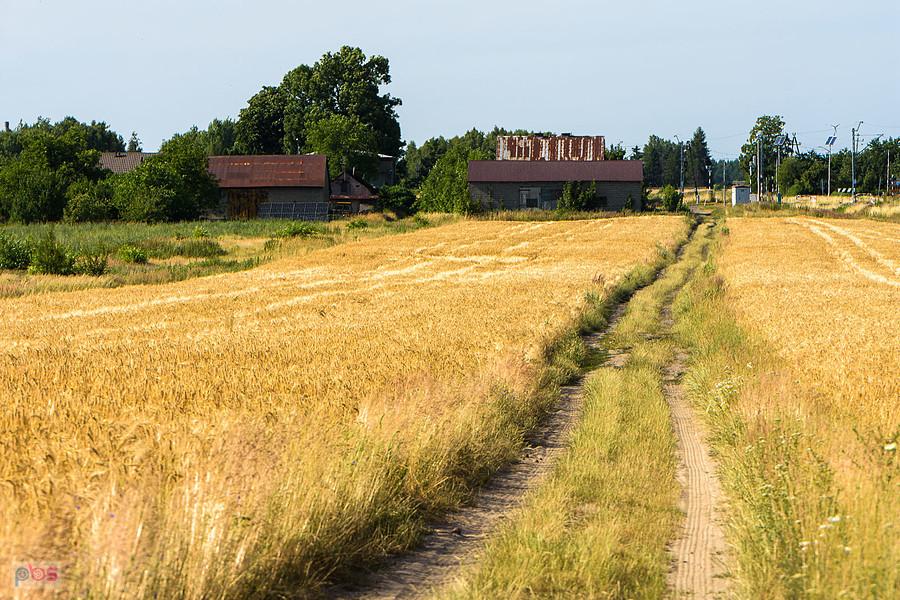 Mykanów, obok linia kolejowa D29-146