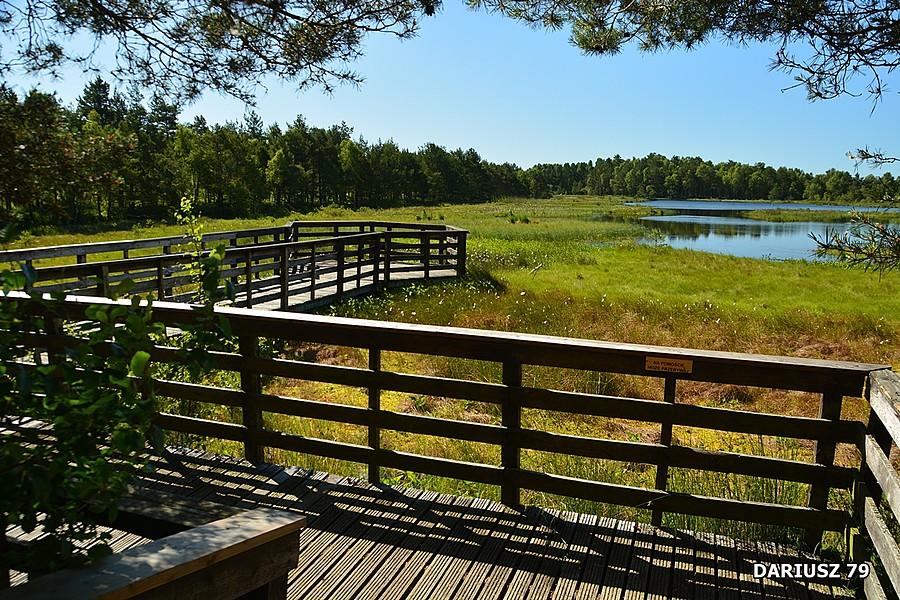 Wielkie Bagno Słowińskiego Parku Narodowego