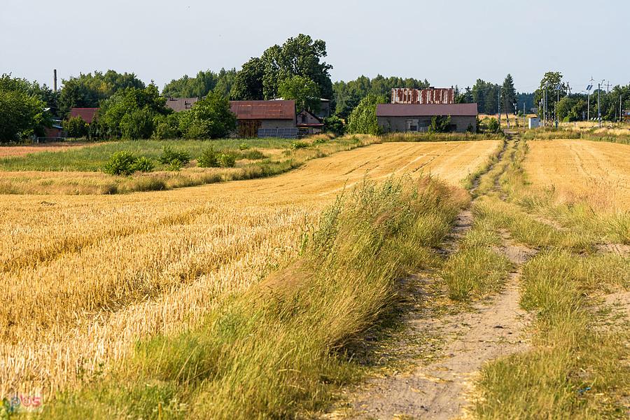 Mykanów - po wczorajszych łanach zbóż ani śladu, tylko ściernisko. Obok biegnie linia kolejowa D29-146, szlak Rząsawa - Cykarzew.