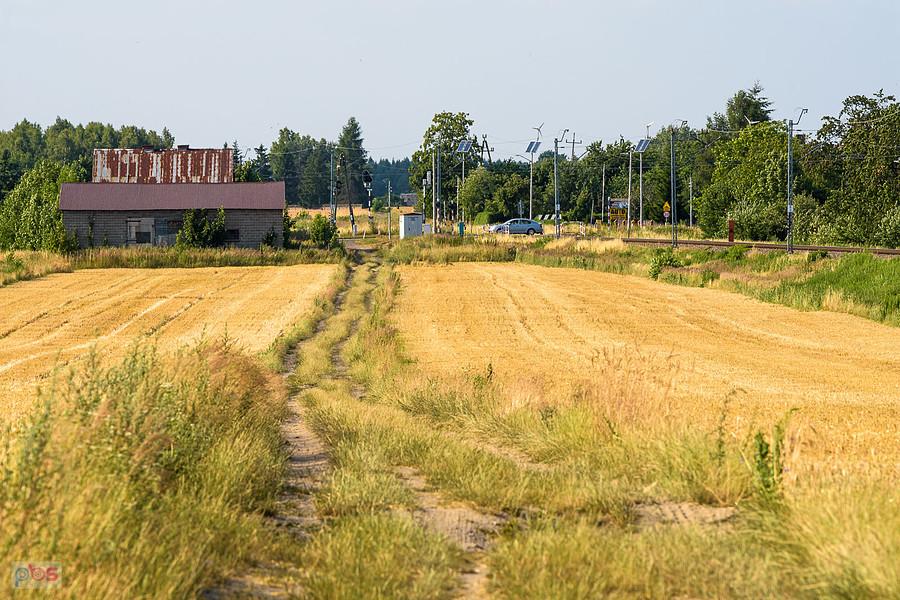 Mykanów - po wczorajszych łanach zbóż ani śladu, tylko ściernisko