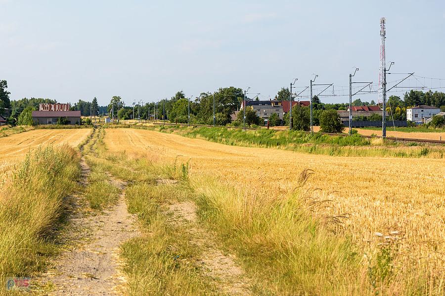 Mykanów - po wczorajszych łanach zbóż ani śladu, tylko ściernisko
