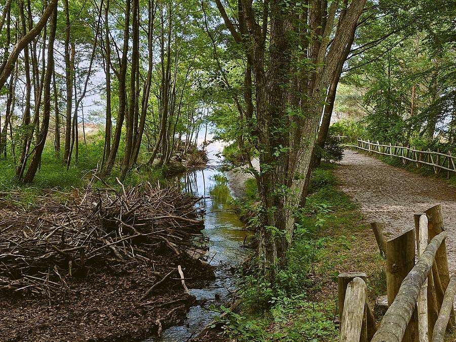 Plaża 36 - Osieki - wejście