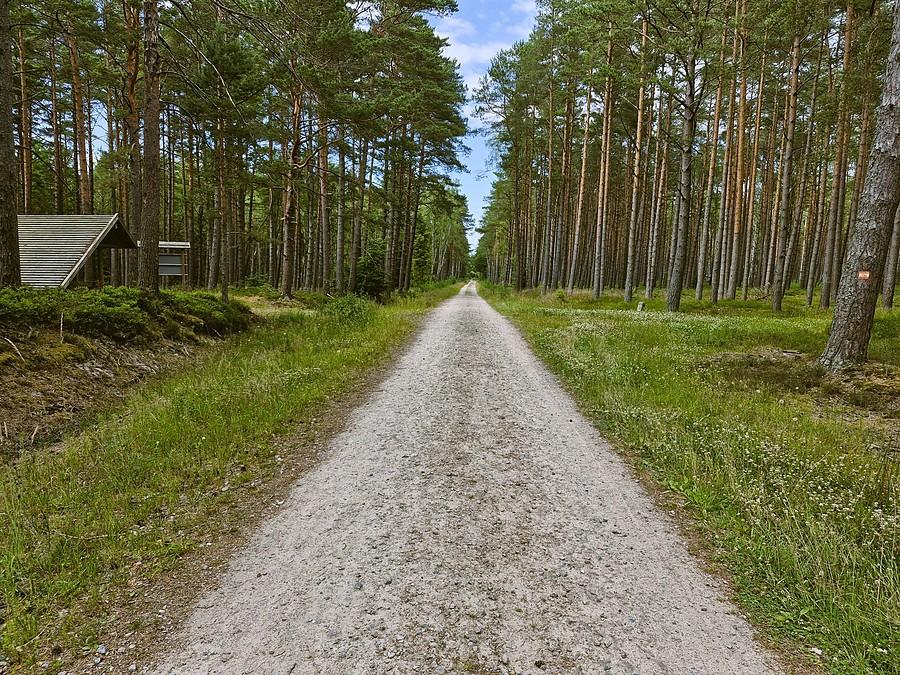 Szutrówka w Osieczkach