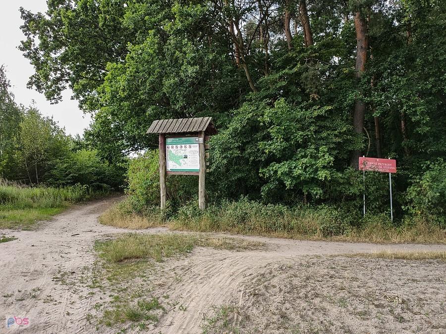 Płd. część Lasu Kabackiego, to ostatnia fotka, za 5 minut lunęło