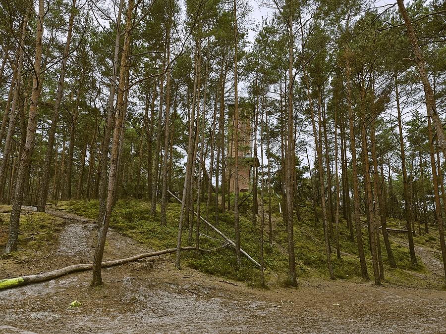 Nautofon (buczek mgłowy) / Stilo
